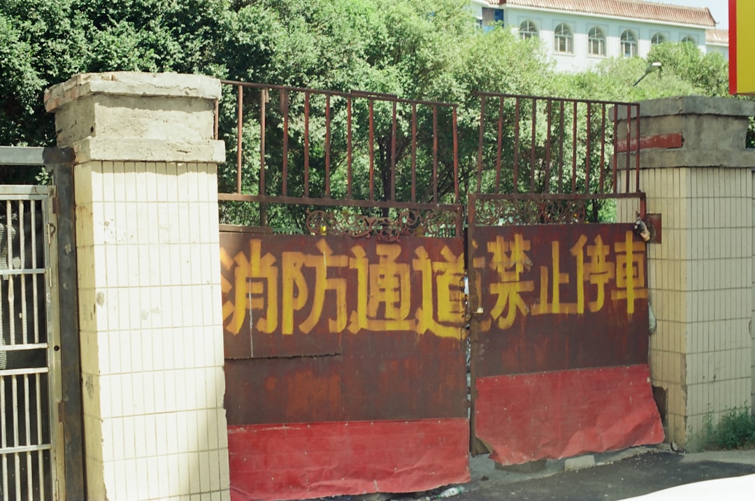 柳州网讯：2024年柳州企业网站建设服务商选择指南